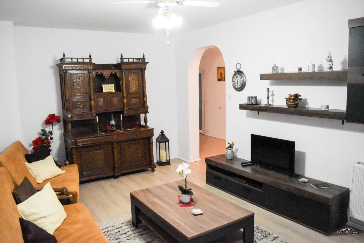 Spacious And Cozy 3Bd+Terrace Couples Apartment Тимишоара Экстерьер фото