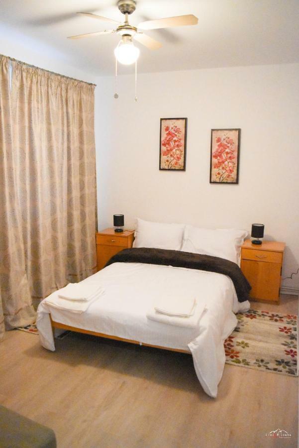 Spacious And Cozy 3Bd+Terrace Couples Apartment Тимишоара Экстерьер фото
