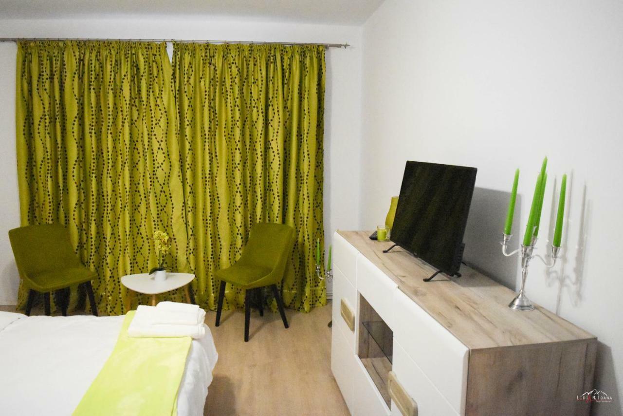 Spacious And Cozy 3Bd+Terrace Couples Apartment Тимишоара Экстерьер фото