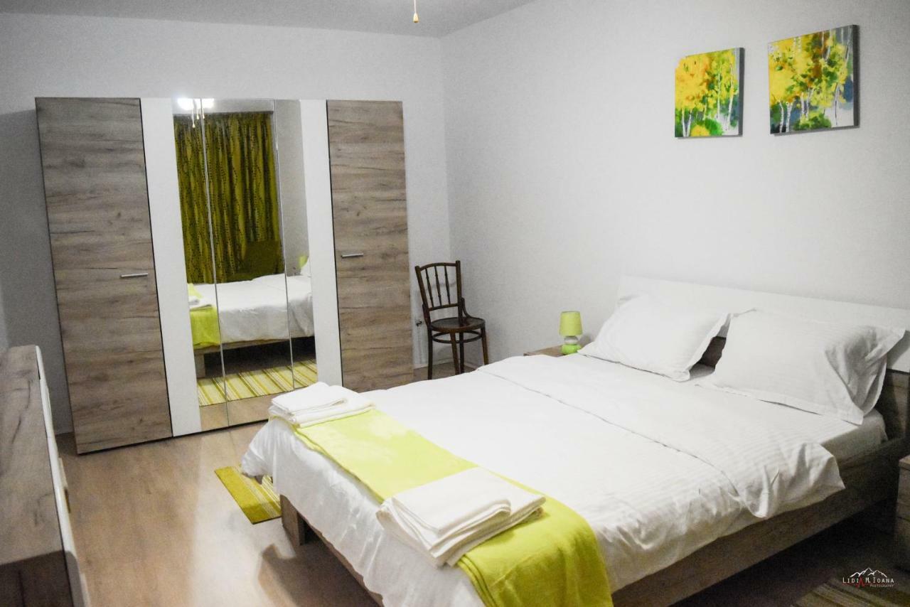 Spacious And Cozy 3Bd+Terrace Couples Apartment Тимишоара Экстерьер фото