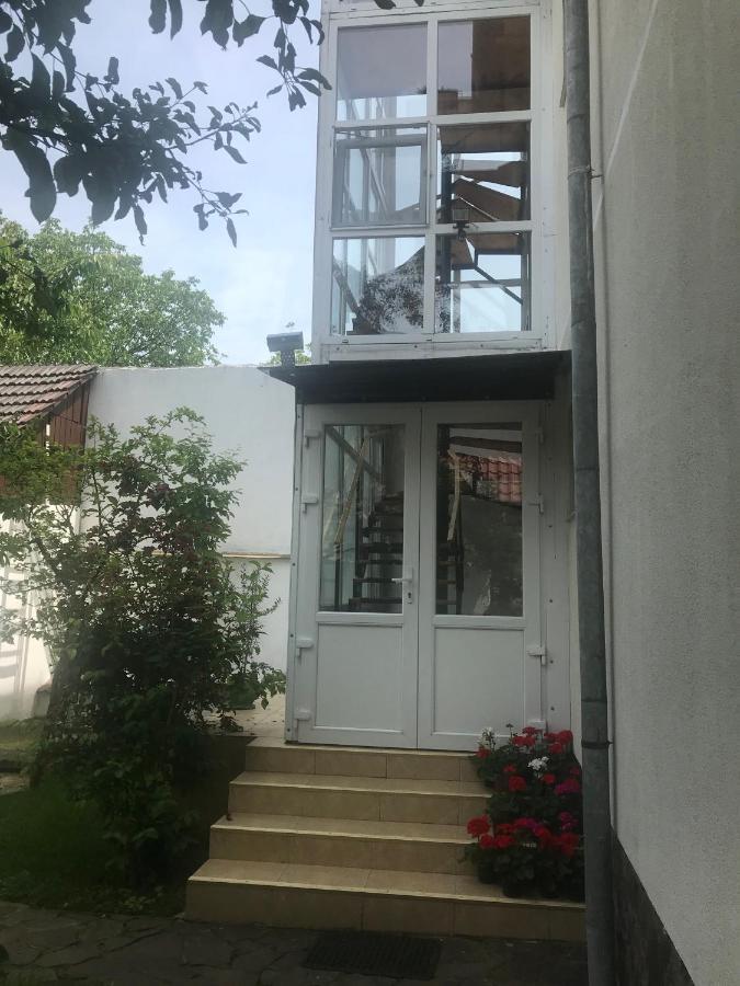 Spacious And Cozy 3Bd+Terrace Couples Apartment Тимишоара Экстерьер фото